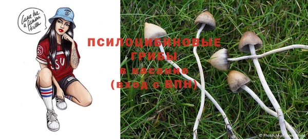 дурь Новодвинск