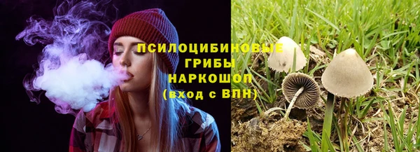 твердый Нея