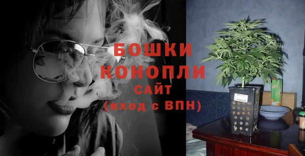 дурь Новодвинск