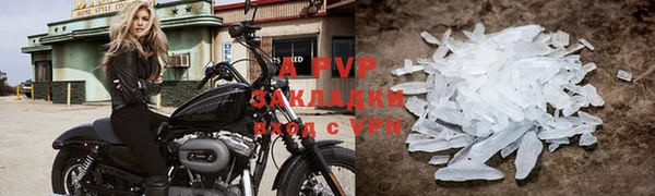 2c-b Новозыбков