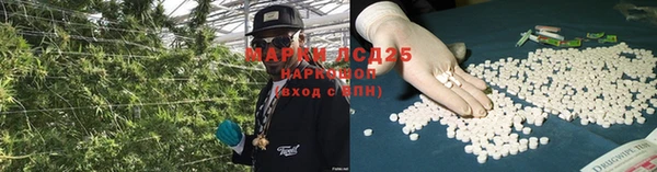 твердый Нея