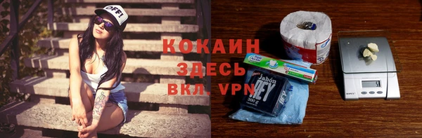 2c-b Новозыбков